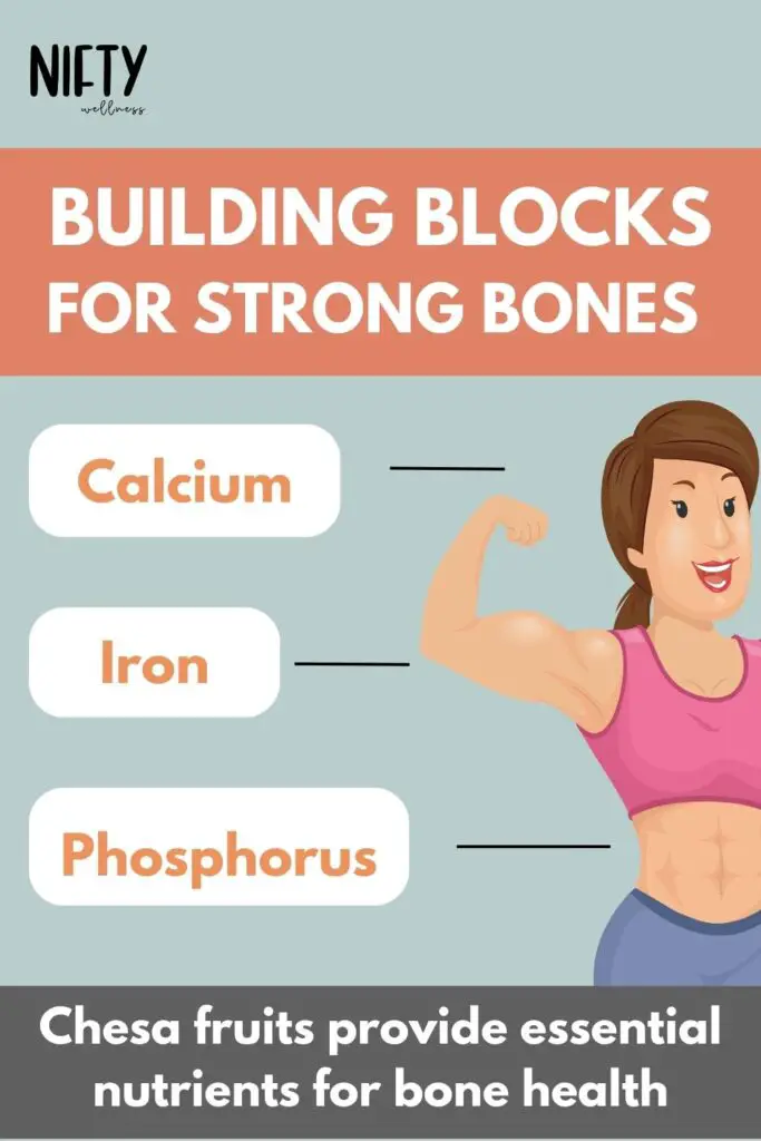 Building Blocks for Strong Bones