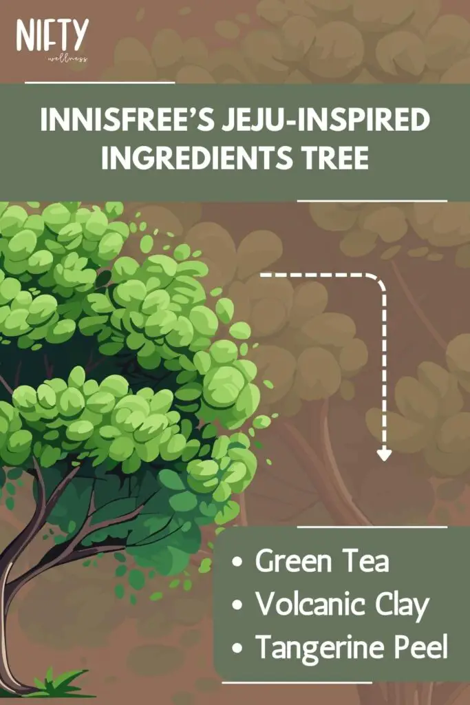 Innisfree’s Jeju-Inspired Ingredients Tree