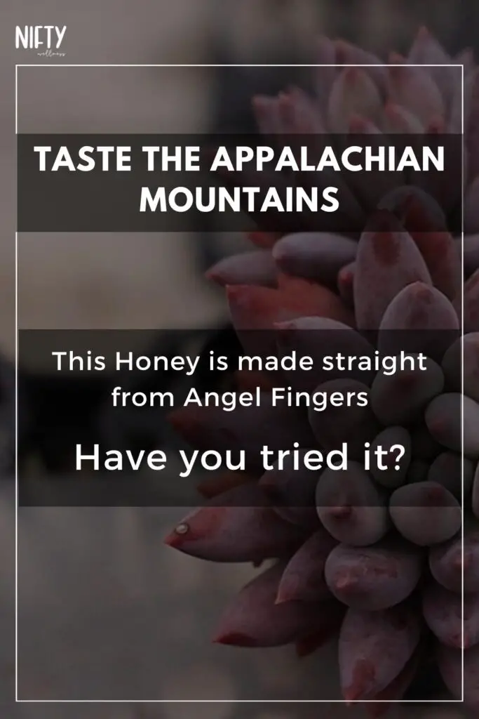 Taste The Appalachian Mountains