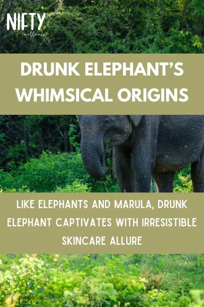 Drunk Elephant’s Whimsical Origins