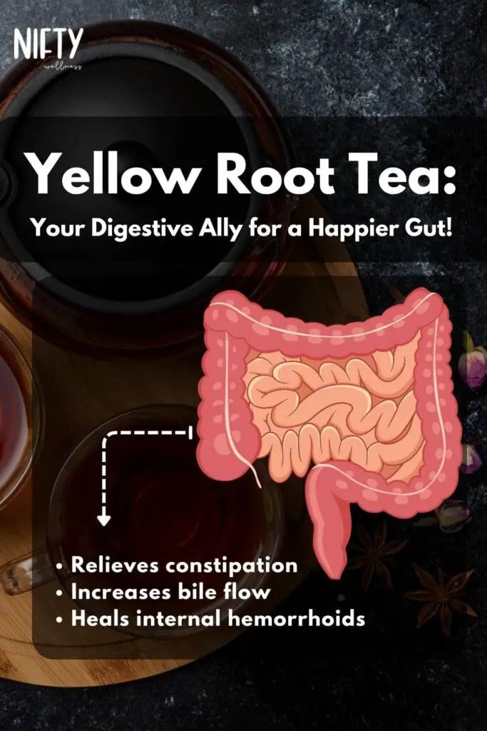 Yellow Root Tea: Your Digestive Ally for a Happier Gut!