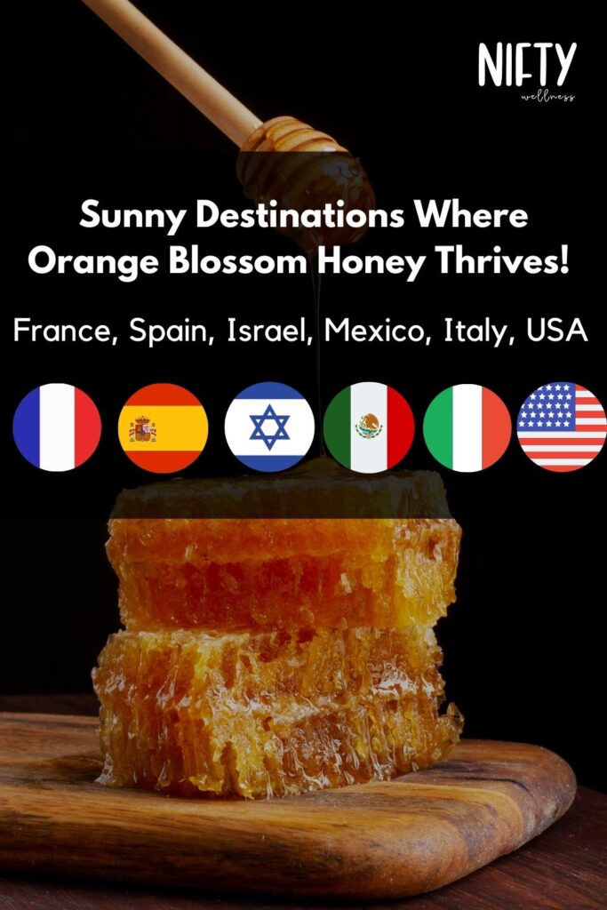 Sunny Destinations Where Orange Blossom Honey Thrives!