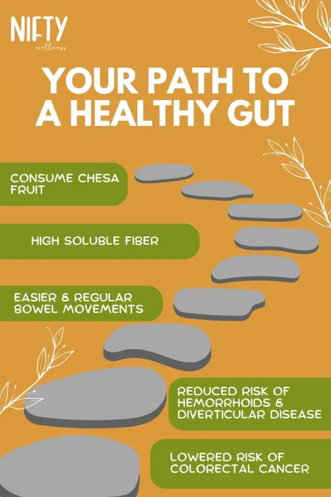Your Path to a Healthy Gut