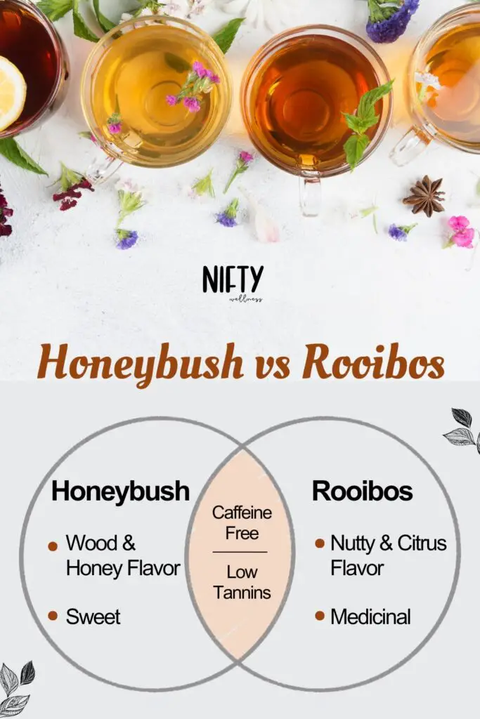 Honeybush vs Rooibos