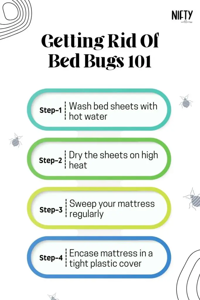 Getting Rid Of Bed Bugs 101