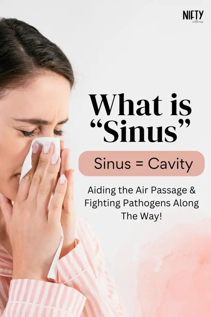 What is “Sinus”