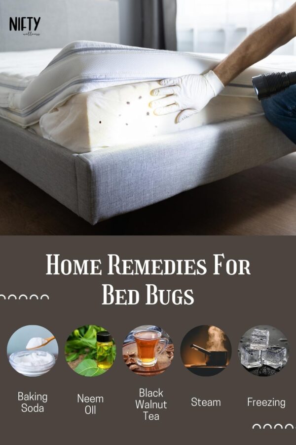 4 Essential Oils For Bed Bugs Ultimate Guide Nifty Wellness
