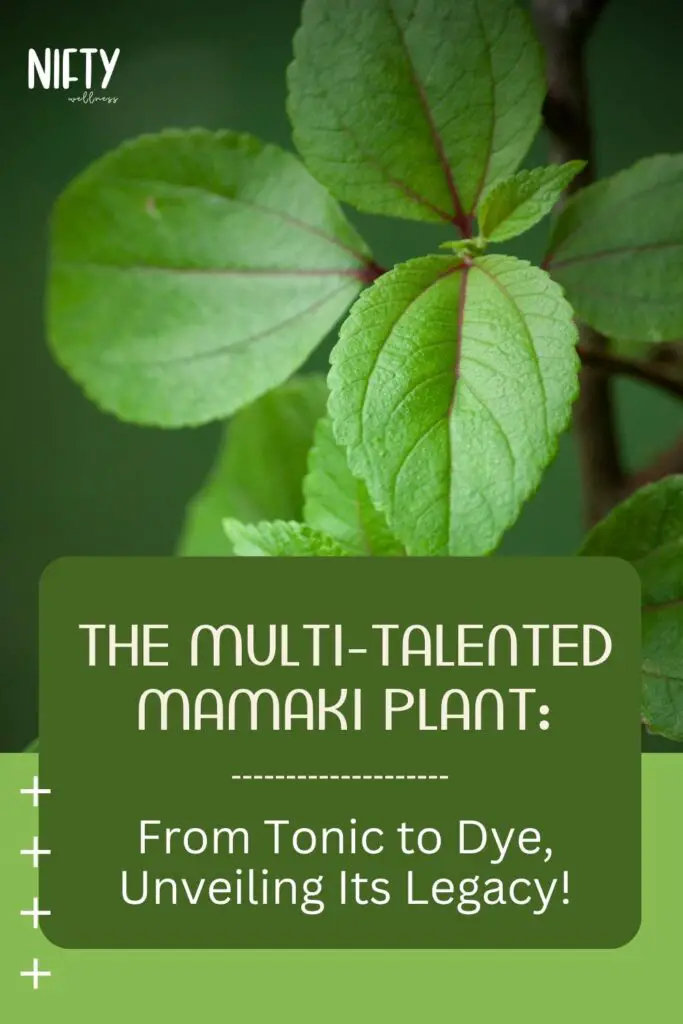 The Multi-Talented Mamaki Plant: From Tonic to Dye, Unveiling Its Legacy!
