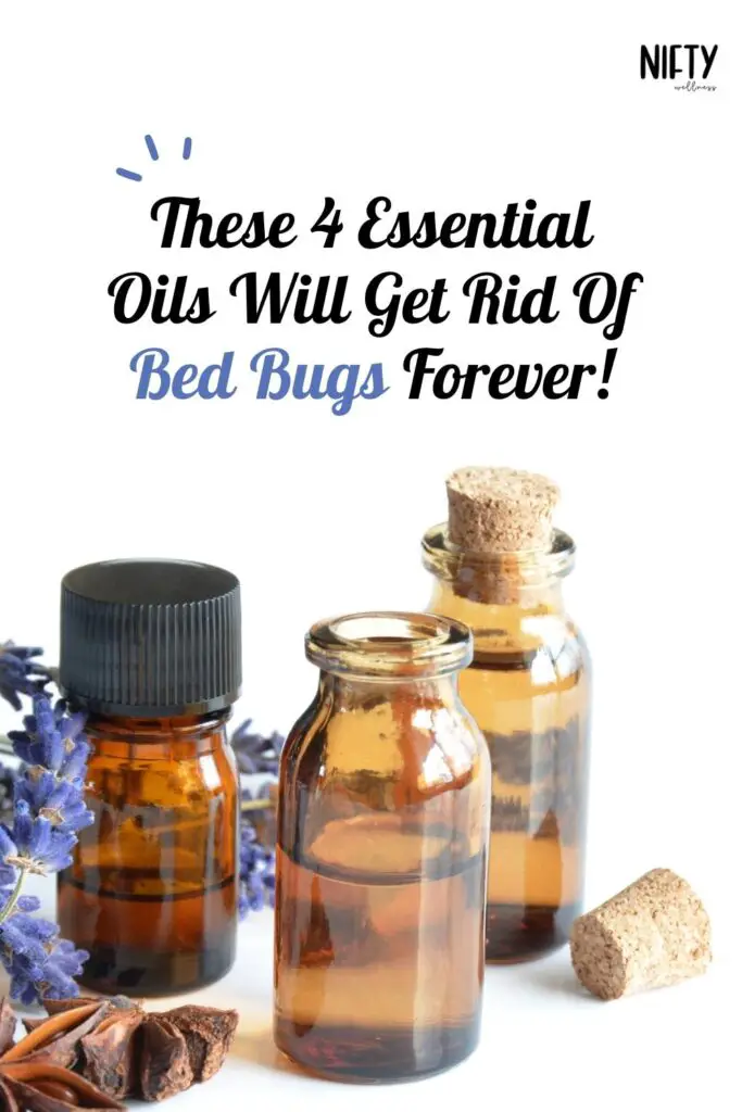 These 4 Essential Oils Will Get Rid Of Bed Bugs Forever!