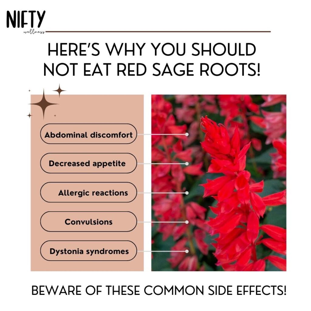 Here’s why you should NOT EAT Red Sage Roots!