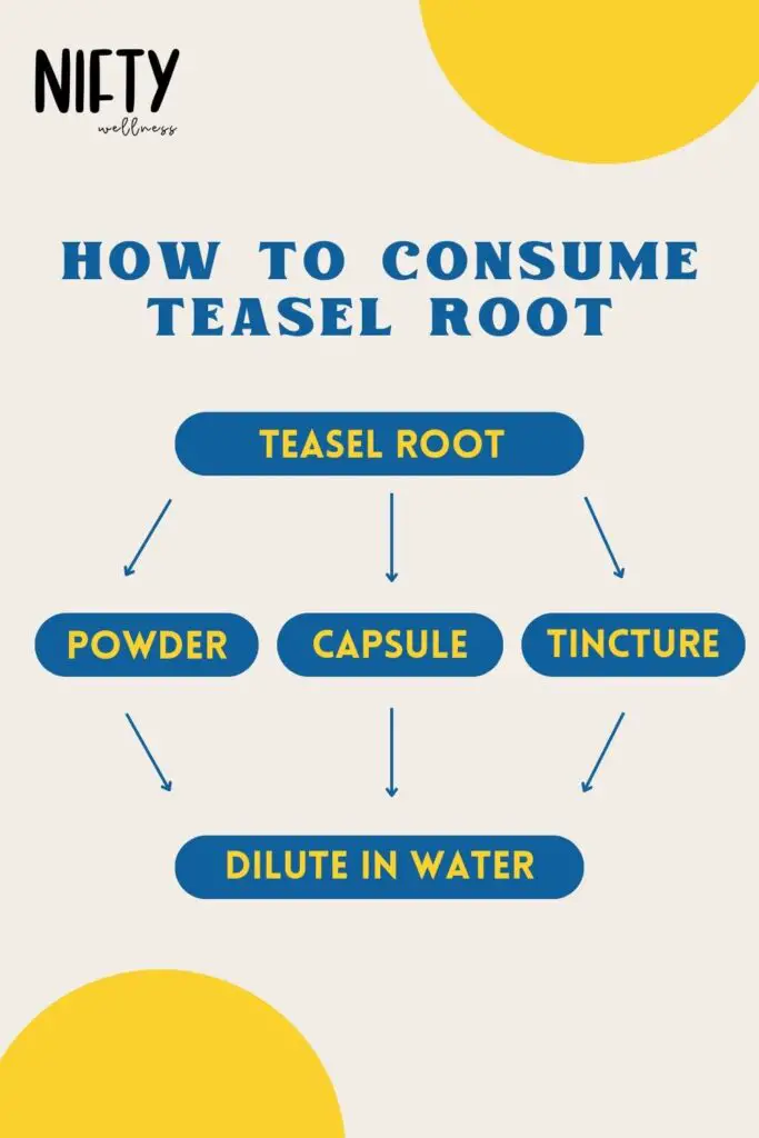 How To Consume Teasel Root