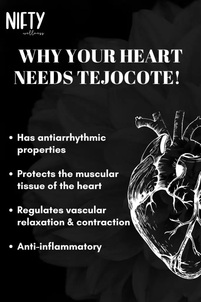 Why Your Heart Needs Tejocote!