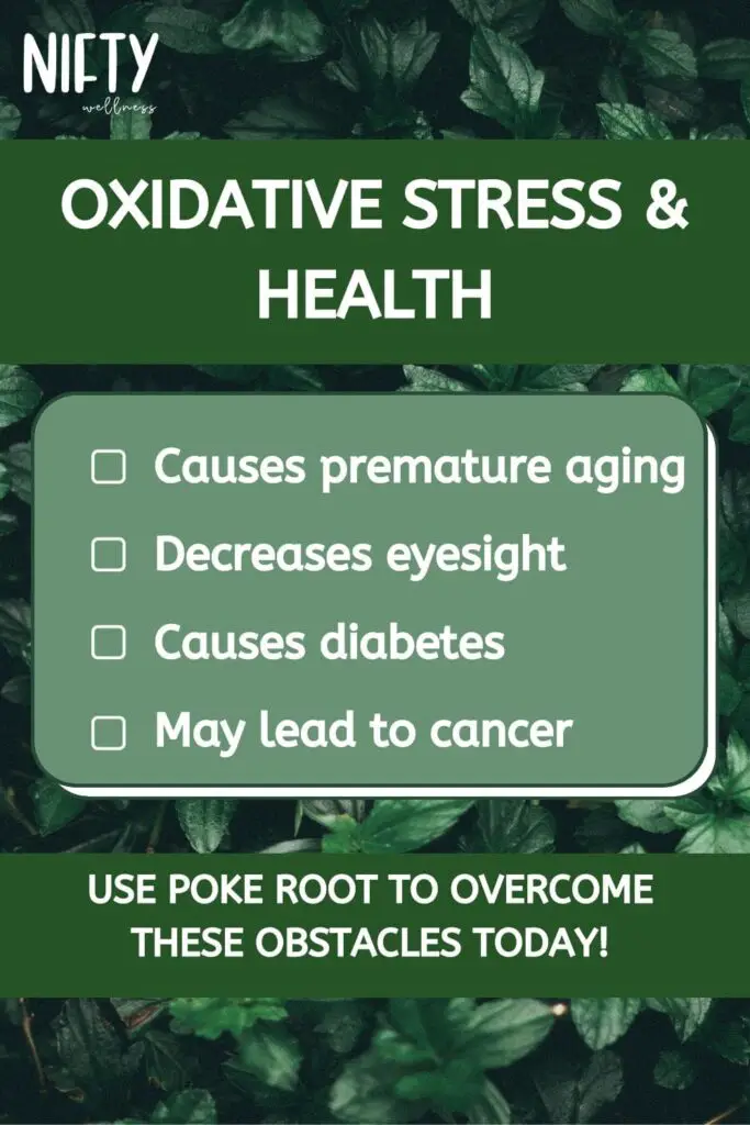 Oxidative Stress & Health