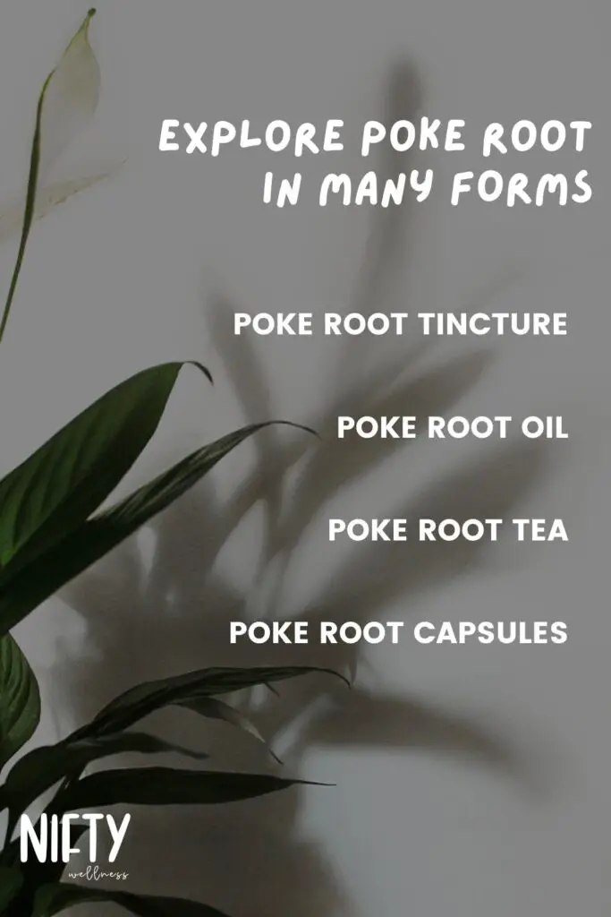 Explore Poke Root In Many Forms
