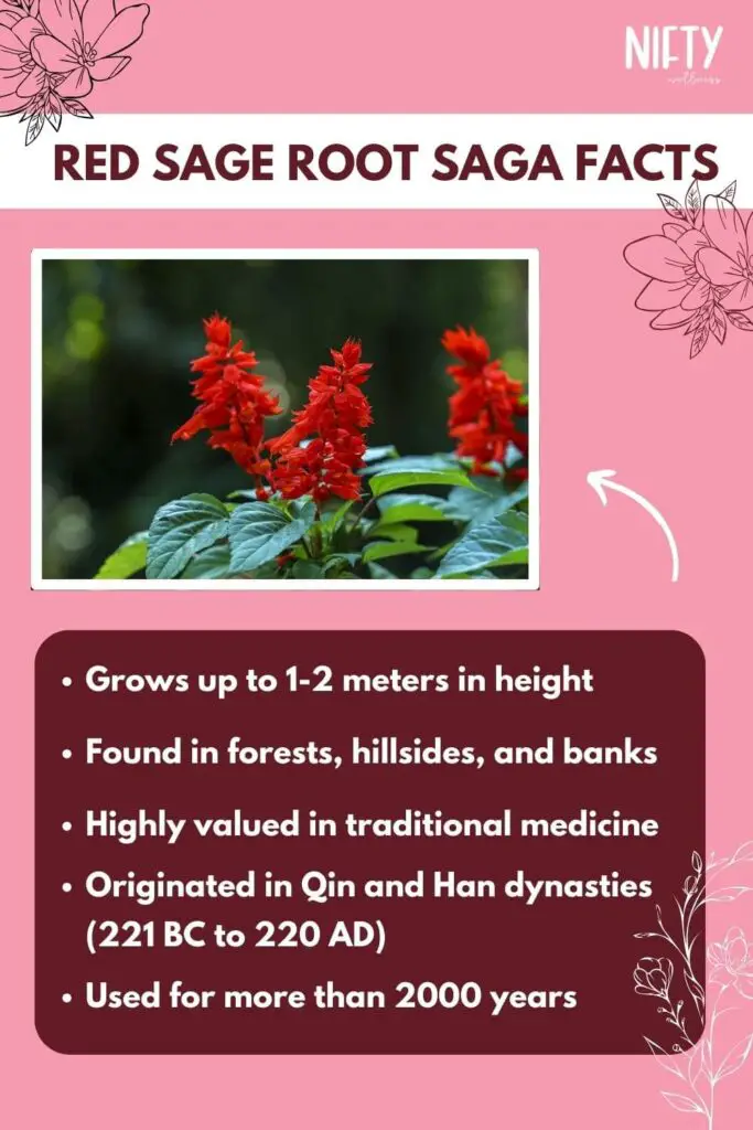 Red Sage Root Saga Facts