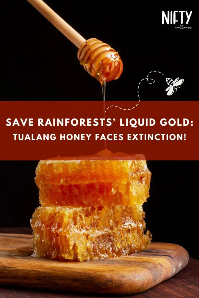 Save Rainforests’ Liquid Gold: Tualang Honey Faces Extinction!