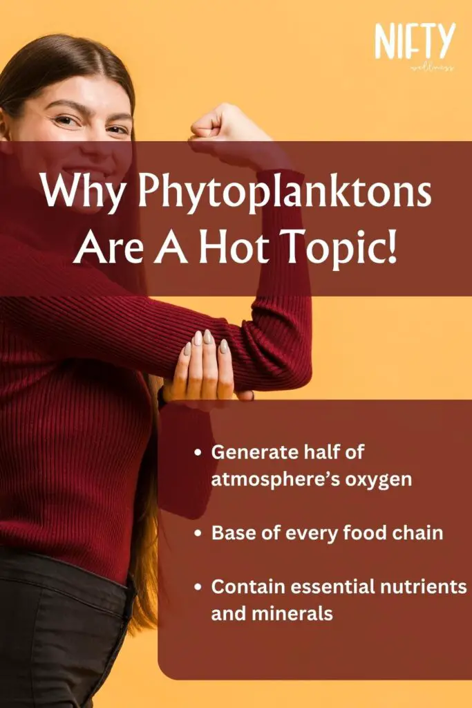 Why Phytoplanktons Are A Hot Topic!