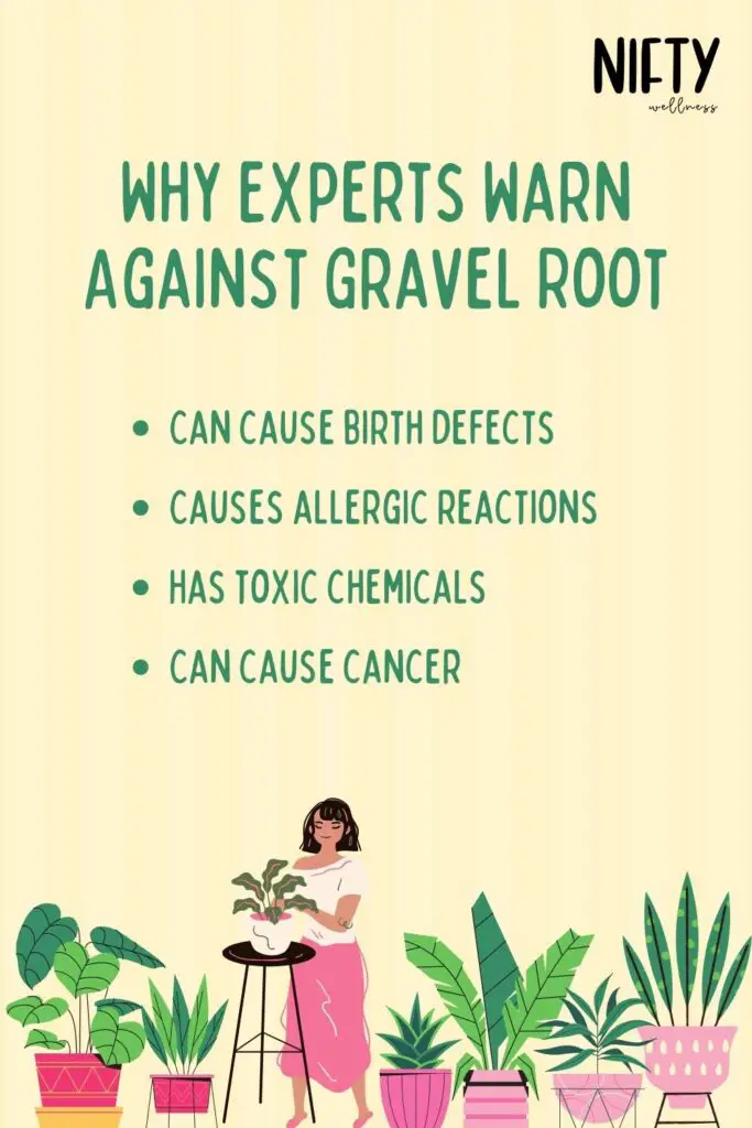 Why Experts Warn Against Gravel Root