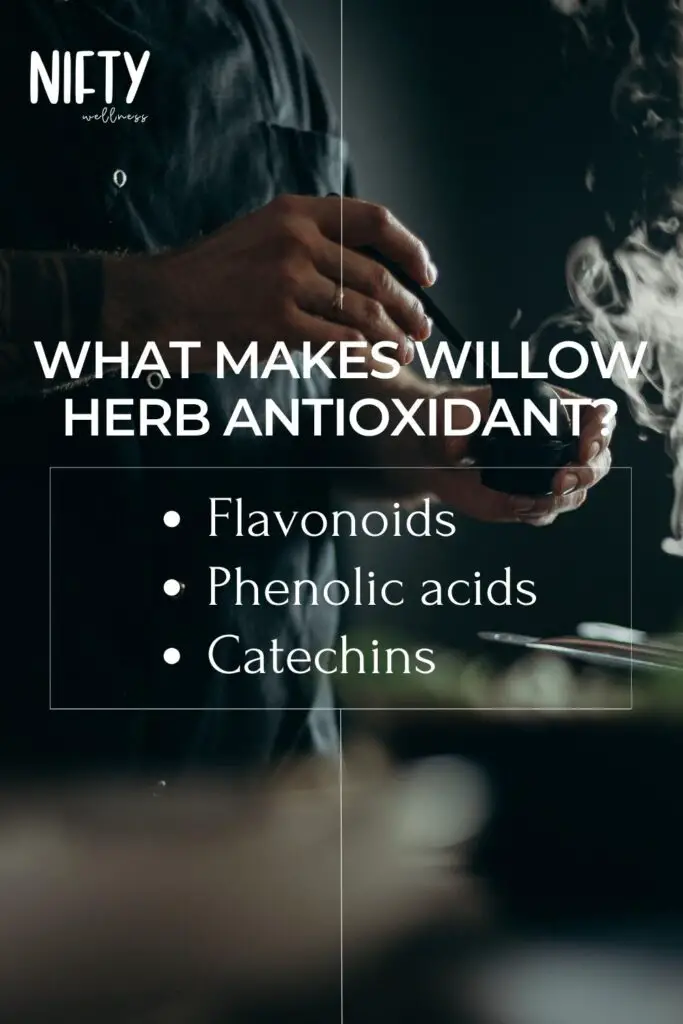 What Makes Willow Herb Antioxidant?