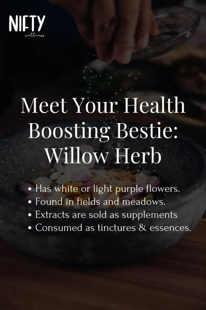 Meet Your Health Boosting Bestie:
Willow Herb
