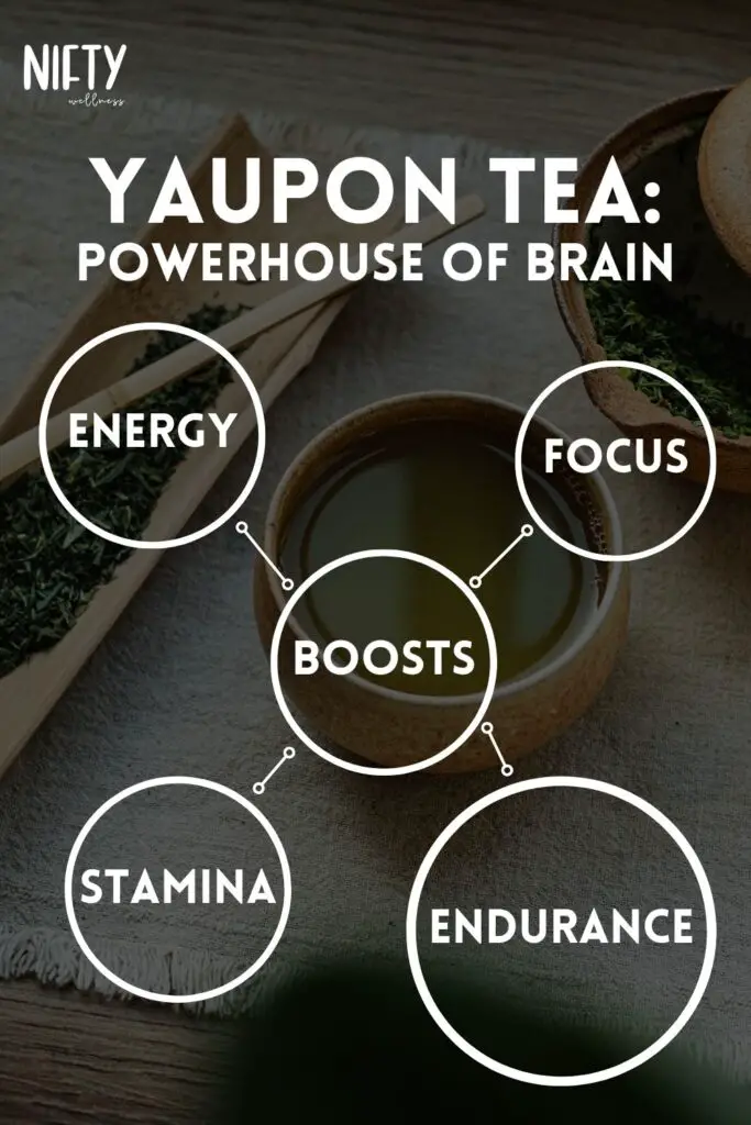 Yaupon Tea: Powerhouse Of Brain