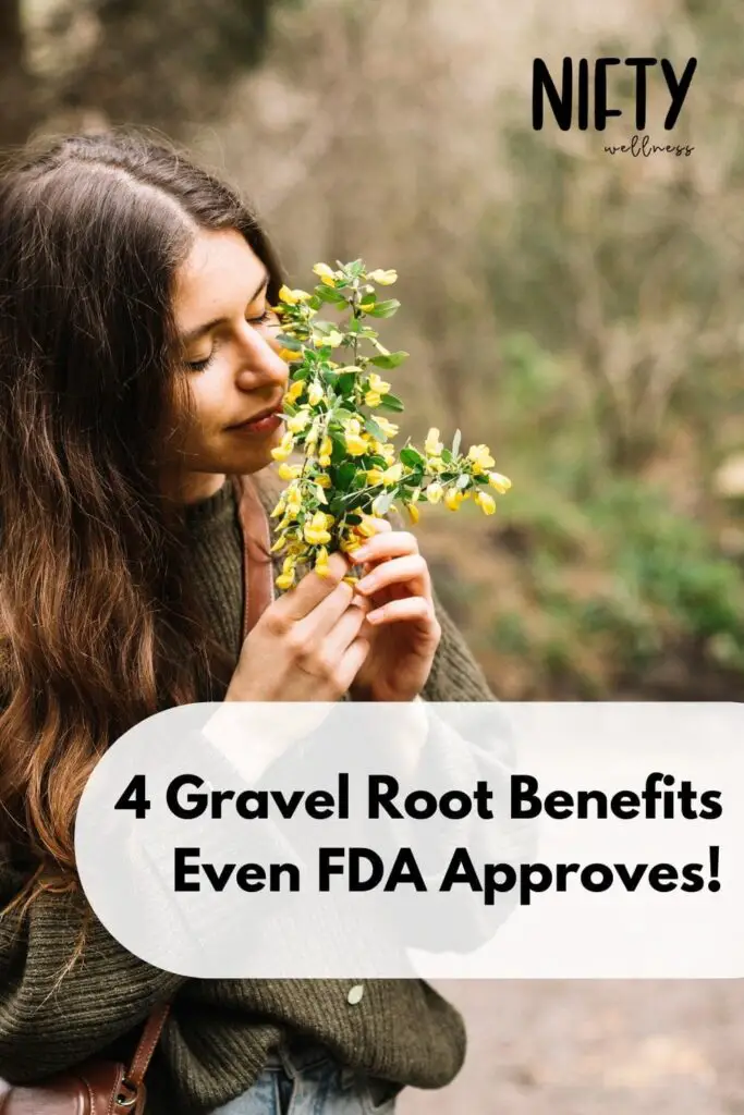 4 Gravel Root Benefits Even FDA Approves!