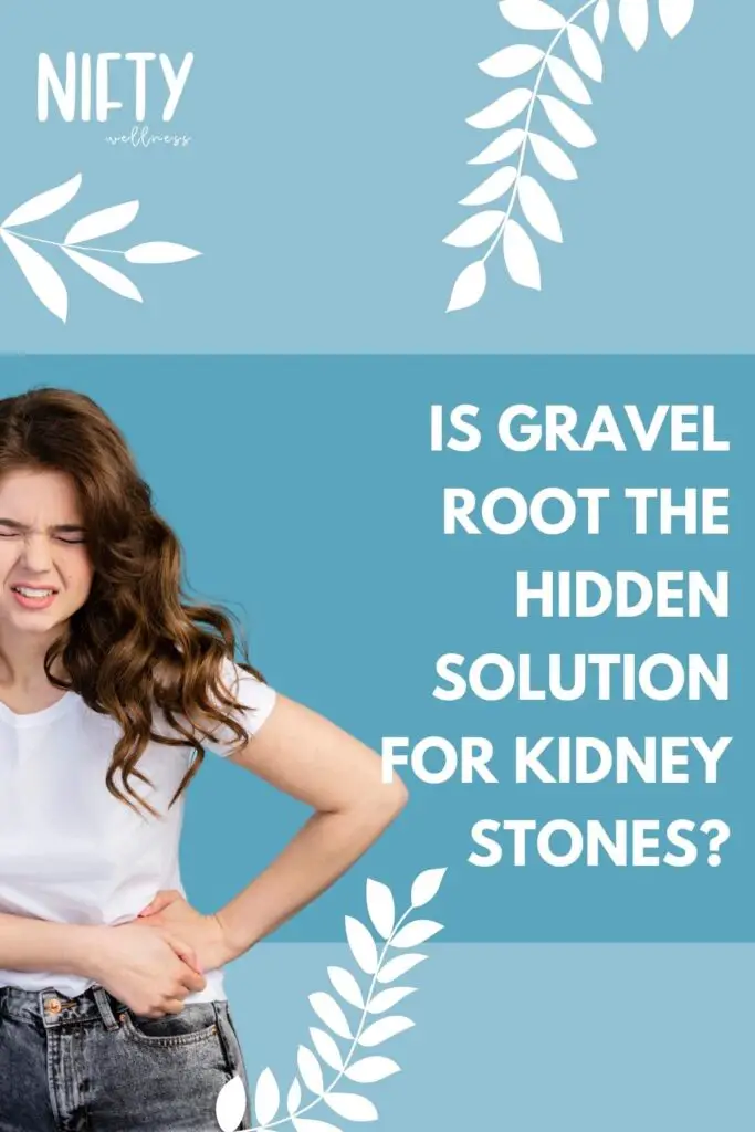 Is Gravel Root the Hidden Solution for Kidney Stones?