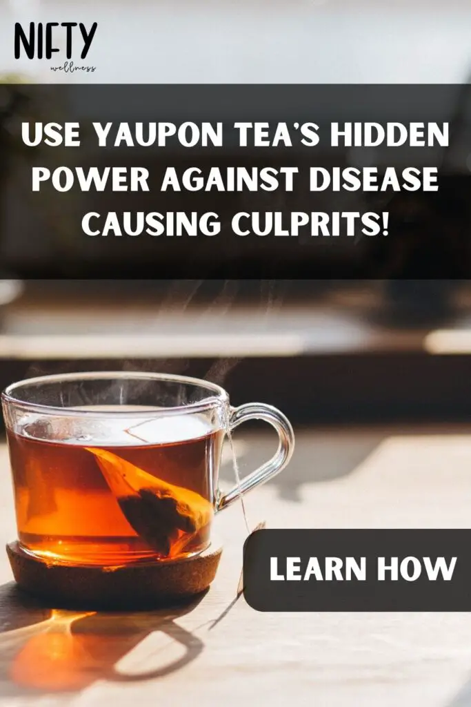 Use Yaupon Tea's Hidden Power Against Disease Causing Culprits!