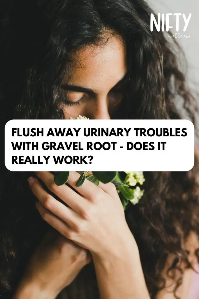 Flush Away Urinary Troubles with Gravel Root - Does It Really Work?
